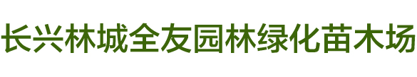 �L(zh��ng)�d�t÷���l(f��)����(y��ng)��