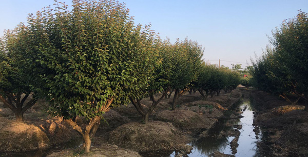 &eacute;&bull;&iquest;&aring;&hellip;&acute;&aring;&hellip;&uml;&aring;&lsaquo;&ccedil;&ordm;&cent;&aelig;&cent;&hellip;&aelig;&nbsp;&lsquo;&ccedil;&sect;&aelig;&curren;&aring;&Yuml;&ordm;&aring;&oelig;&deg;