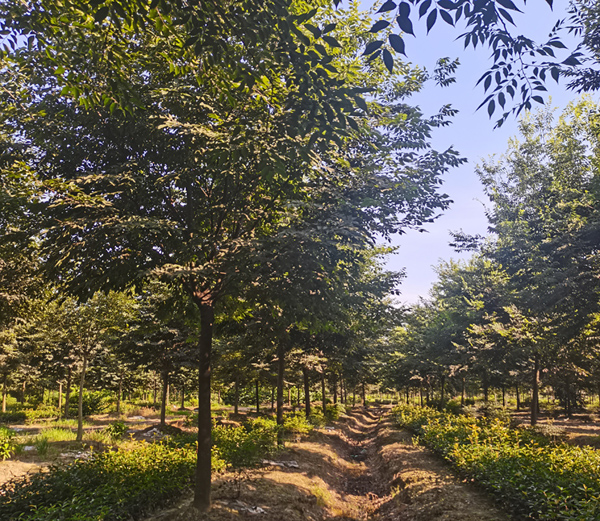 15���֙Θ�